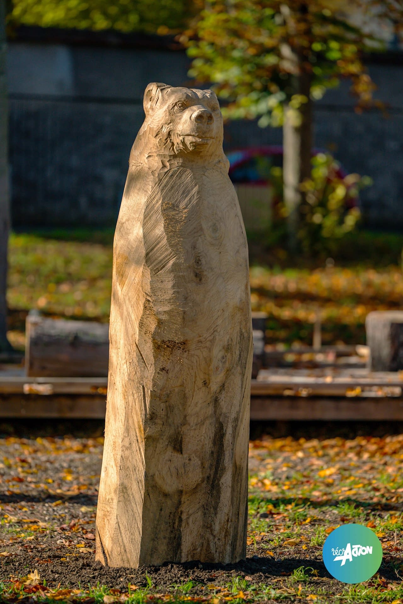 Parc du bois d'amour — photo 4