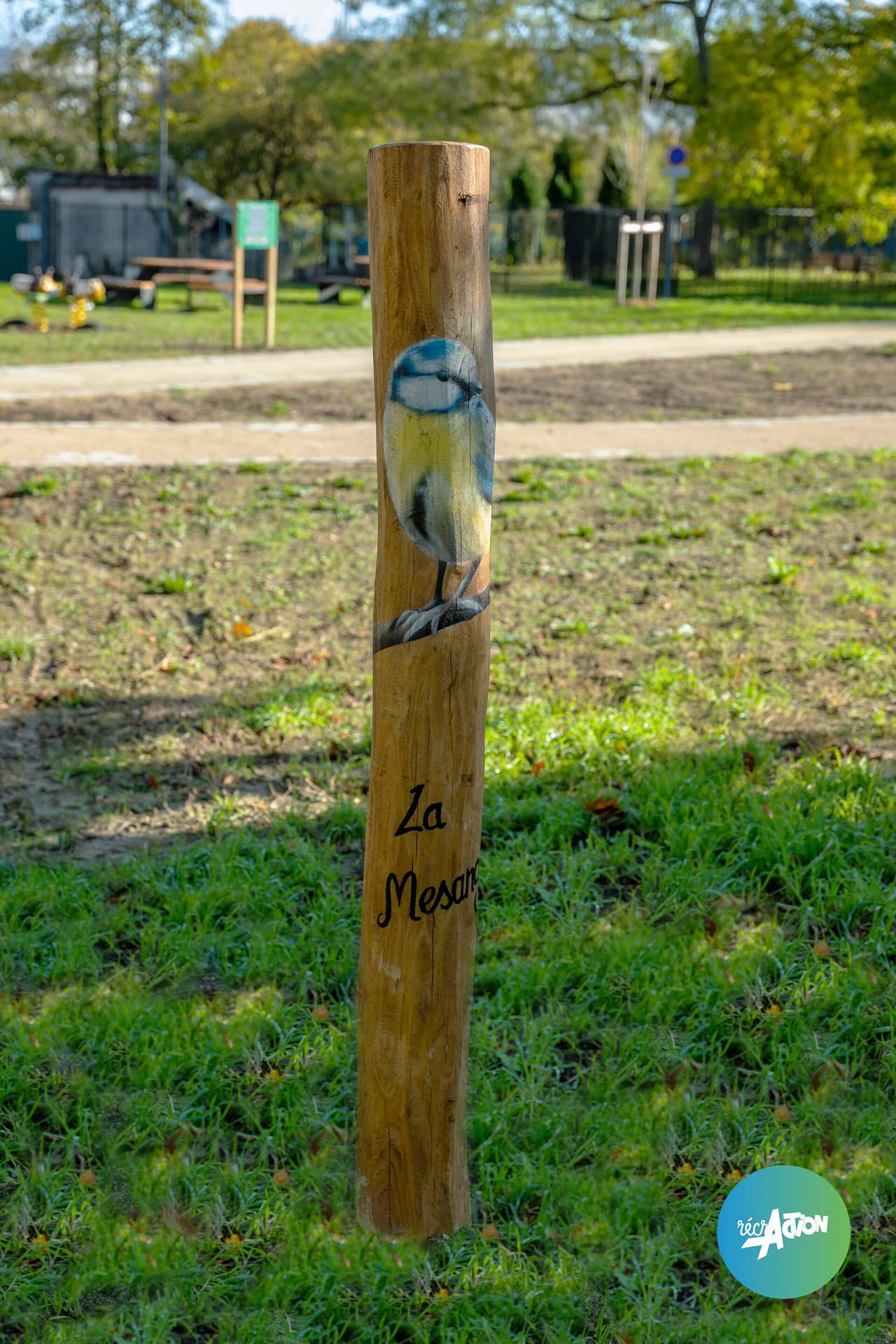 Parc du bois d'amour — photo 5