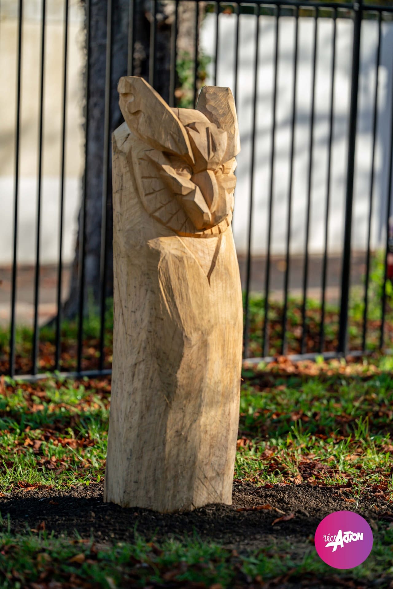 Parc du bois d'amour — photo 10