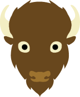 Bison