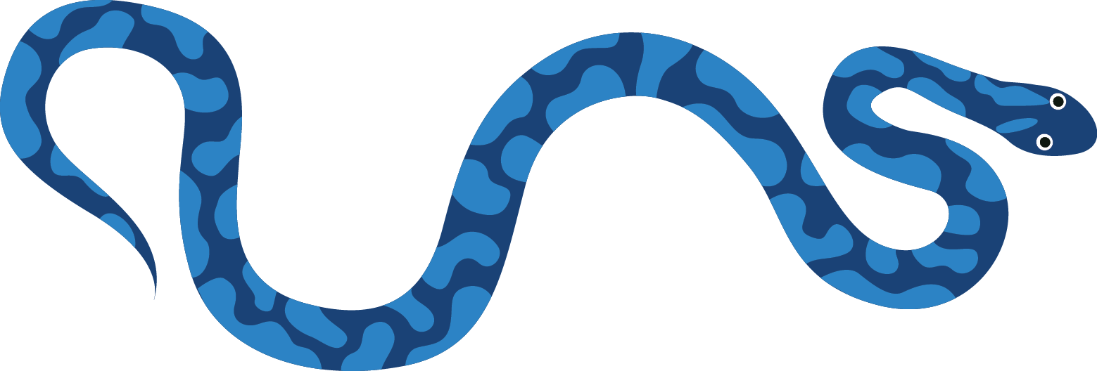 Boa constrictor