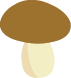 Bolet