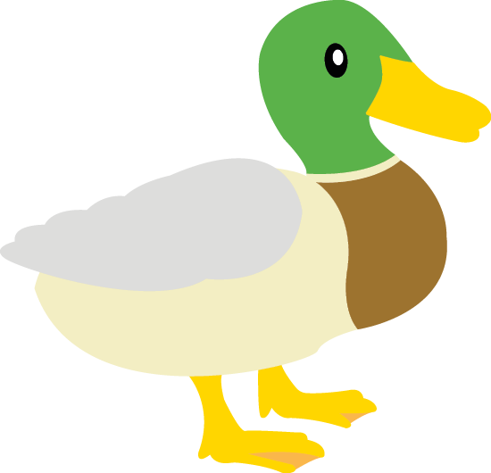 Canard