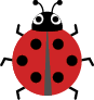 Coccinelle