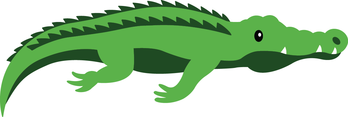 Crocodile
