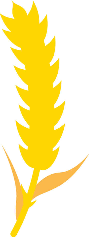 Épi de blé