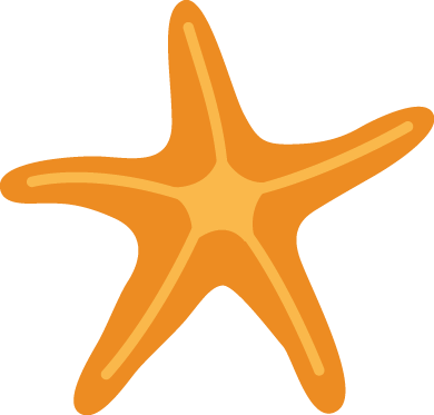Étoile de mer