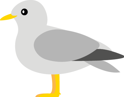 Goéland