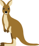Kangourou