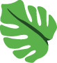 Monstera