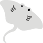 Raie manta