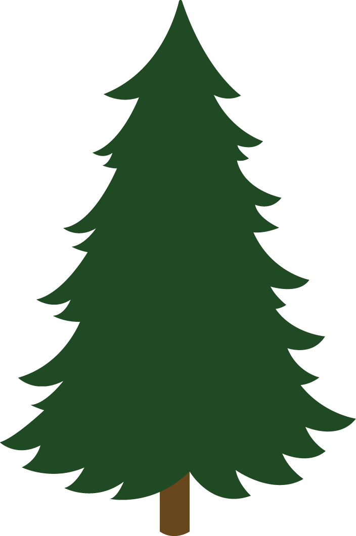 Sapin