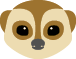 Suricate