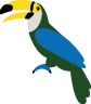 Toucan