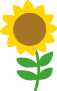 Tournesol