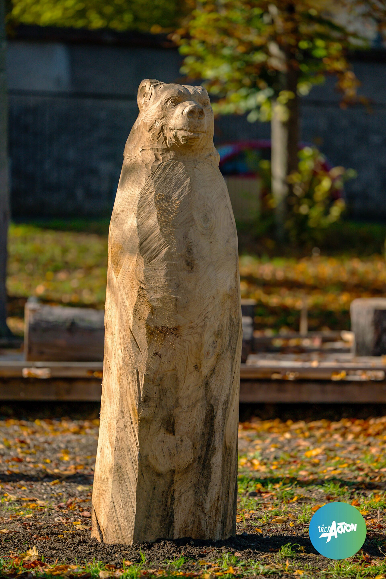 Parc du bois d'amour — photo 4