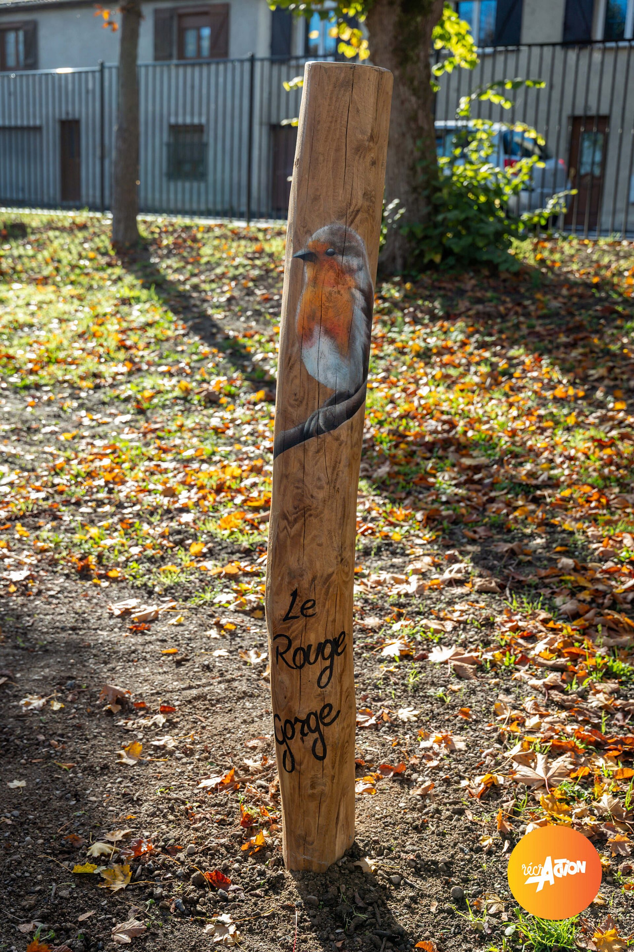 Parc du bois d'amour — photo 7