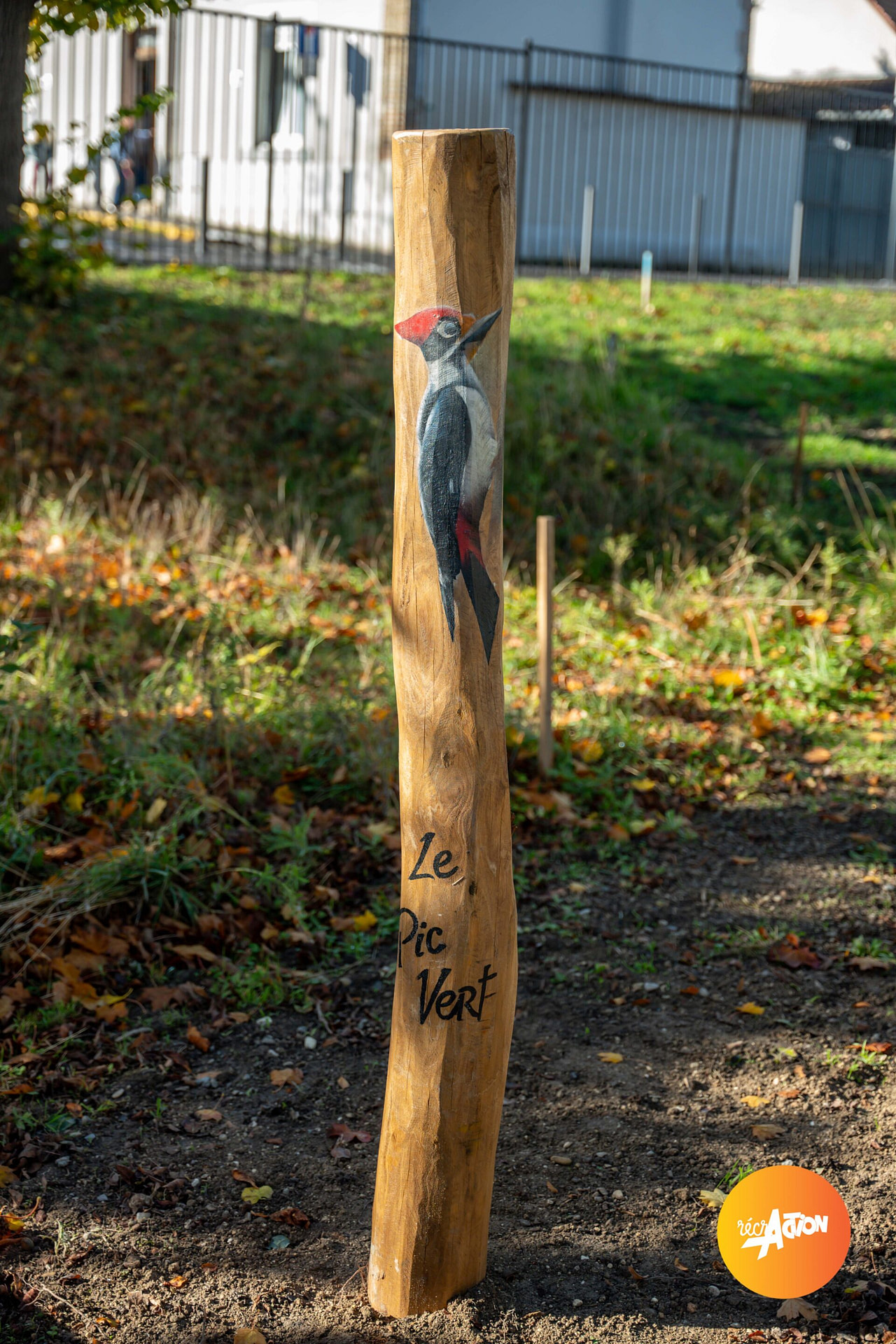 Parc du bois d'amour — photo 9