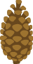 Pomme de pin